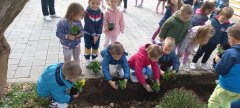 viber_slika_2022-10-06_23-04-36-349.jpg